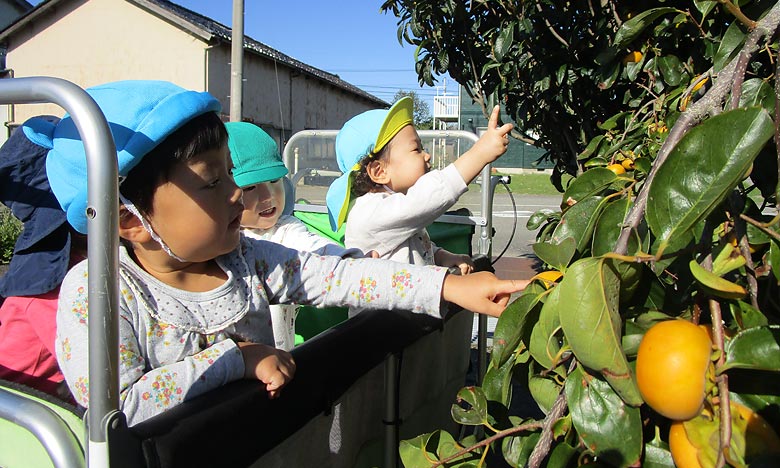 7.自然との関わり・生命尊重