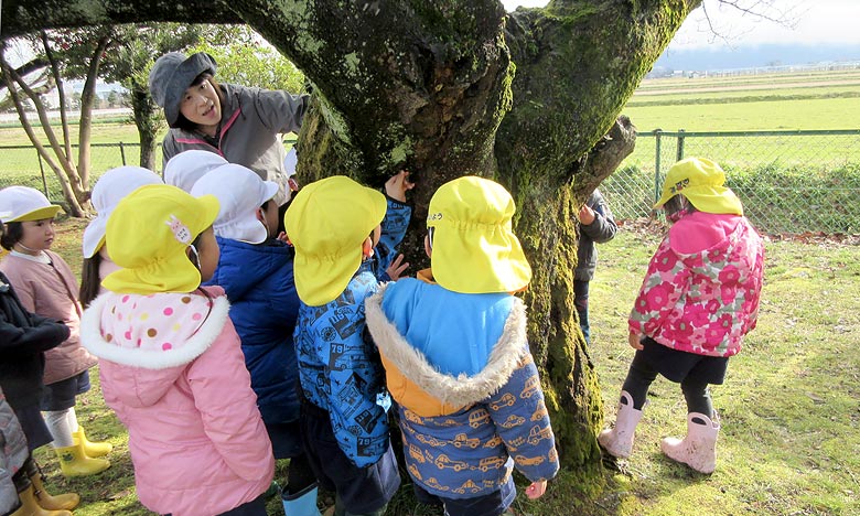 7.自然との関わり・生命尊重
